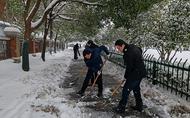 淮南市鄉村振興局開展掃雪活動
