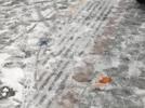 受低温雨雪冰冻天气影响 2月5日部分列车停运