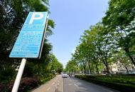巢湖市區(qū)4859個(gè)道路公共泊位春節(jié)免費(fèi)停車8天