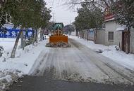 潘集區祁集鎮許崗村：扎實做好掃雪除冰保民生工作