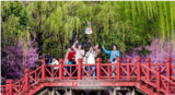 阜阳：春天说来就来，“脸色”说变就变