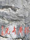 花期將至！巢湖銀屏山千年牡丹枝頭吐露新芽