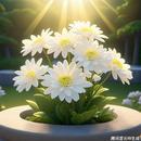 建設(shè)“無(wú)煙陵園”！蚌埠發(fā)出文明祭祀的倡議
