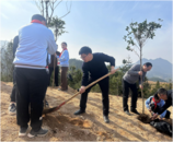 岳西縣響腸鎮：不負春光 “植”得期待