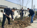 “植”此青绿 不负春光！青阳县杜村乡开展义务植树活动