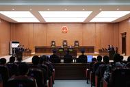 淮南去年審理知識產權刑事案件42件