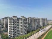 54459套！肥西縣2024年迎來安置高峰