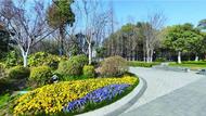蚌埠市園林部門完成春季草花培育、更換