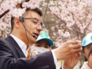 对话“樱花博士”聂超仁：在樱桃树下长大，研究樱花13年，培育出“国樱四楚”