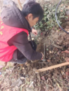 巢湖市銀屏鎮錐山村：細微見服務 小事暖人心