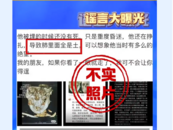 網(wǎng)傳邯鄲初中生遇害案顱骨照片不實