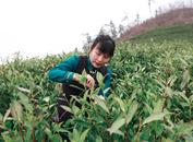 黄治斌：茶事