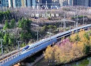 合肥春意盎然 “复兴号”穿越梅林