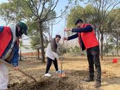 “植”此青綠 護苗成蔭  ——蚌埠市湯和路學校黨支部開展植樹節活動
