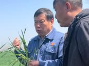 春耕備肥正當時，安徽啟動農資保供專項行動