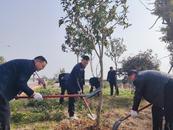 安慶市宜秀區(qū)大橋街道：春風催新綠 植樹正當時