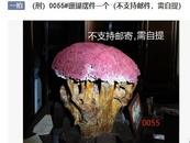 涉刑珊瑚擺件1元起拍，上萬元成交
