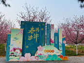 2024芜湖马拉松暨湾沚镇第二届“春满沚津”文化旅游季开幕