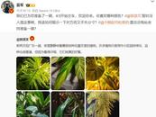 雷軍回復張頌文：已為您準備了一輛車