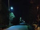 太和一村民自费购买58盏路灯 点亮村民出行路