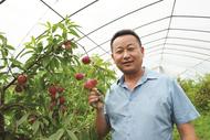 淮南鳳臺：他為鄉親注入“甜蜜”能量