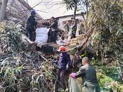 桐城市黃甲鎮水嶺村：人居環境整治 扮靚鄉村“顏值”