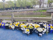 四川眉山跳水救人溺亡小伙是家中獨子 市民自發(fā)獻花哀悼