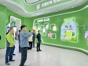 小青梅撬动大产业 全国主流媒体芜湖行采访团探寻梅冻数字化智慧工厂