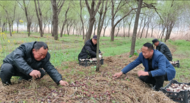 懷遠(yuǎn)荊山鎮(zhèn)：盤活林下地 解決大難題