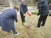 安慶宜秀區(qū)慶豐社區(qū)：春分時節(jié)春意濃，義務(wù)植樹添新綠