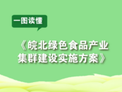 安徽省政府辦公廳印發(fā)方案！計劃到2030年實現(xiàn)“543”戰(zhàn)略目標