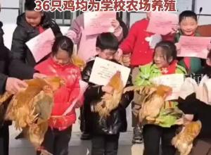 左手一张奖状  右手一只鸡，安徽广德一小学给学习标兵发奖励 ，36只鸡均为学校农场养殖