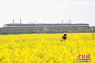 中國氣象局：3月份仍有5次冷空氣影響我國，多地或提前入春