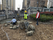 望城街道大崗頭社區：“植”此青綠，添彩家園