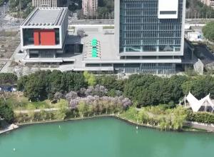 合肥市中心图书馆何时对外开放？ 官方回应：正在进行各项验收