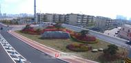 阜陽9條道路綠化項目獲省銀獎