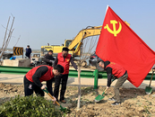 淮南市水利局開展“岸綠景美，共護母親河”主題黨日植樹活動