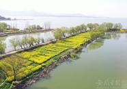 今年1-2月，巢湖全湖水質(zhì)為良好
