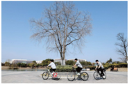 阜陽：體育公園健身 共享美好生活