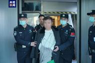 外逃11年紅通犯罪嫌疑人被從印尼押解回國