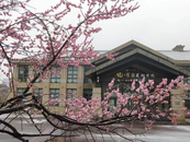 菱湖書院邀您踏春而來 