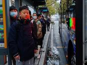 合肥開通T225路特色公交線路 服務(wù)附近居民超萬戶