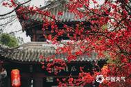 中東部大范圍雨雪鋪展，超25省份迎降溫