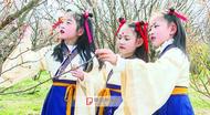 阜陽太和椿櫻游園會引領文旅新風尚