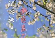 在合肥地鐵口邂逅春花燦爛