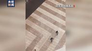 厕所发现超10具尸体，死亡人数增至70人！