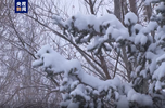 内蒙古一市大范围降雪