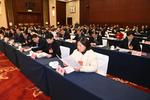 十四届全国人大二次会议安徽代表团在京成立