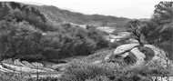 艾科：养花之惑