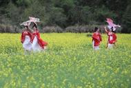 油菜花海中，黃山市啟動“來徽州上春山”攝影旅游記活動